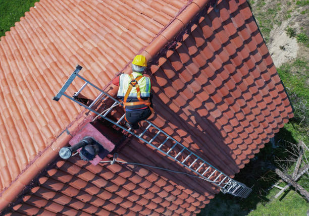 Best Asphalt Shingles Roofing  in Bath, MI