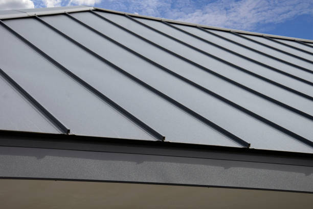 Best Hot Roofs  in Bath, MI