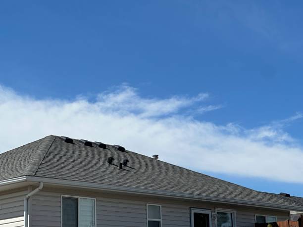 Best Emergency Roof Repair Services  in Bath, MI